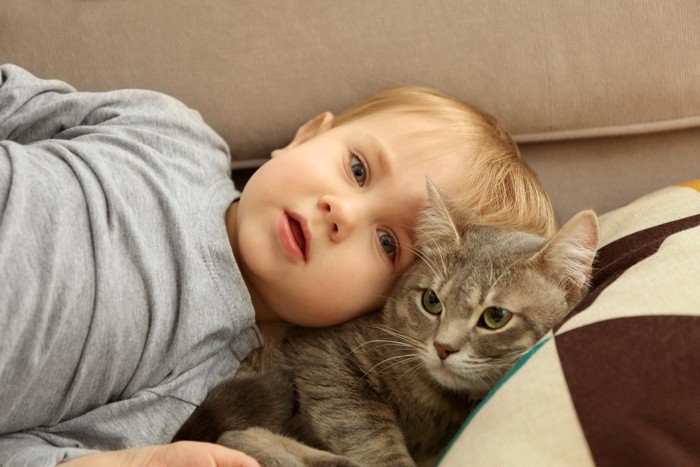 子供に押しつぶされている猫