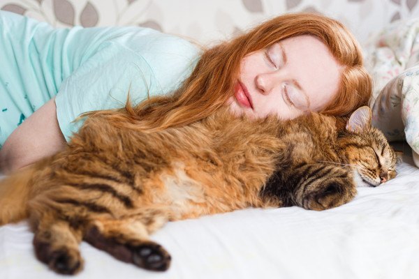 女性に添い寝する猫