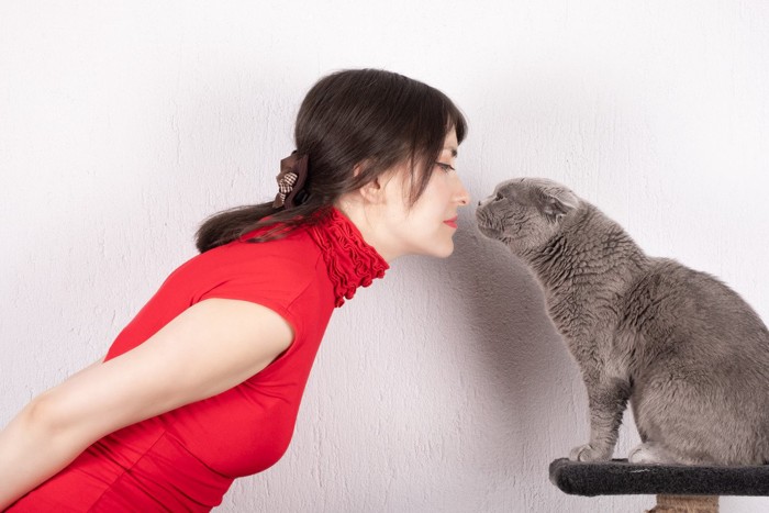 女性と見つめあう猫