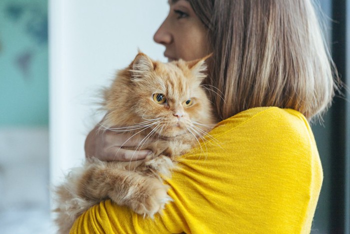 不機嫌そうな顔の猫を抱く女性