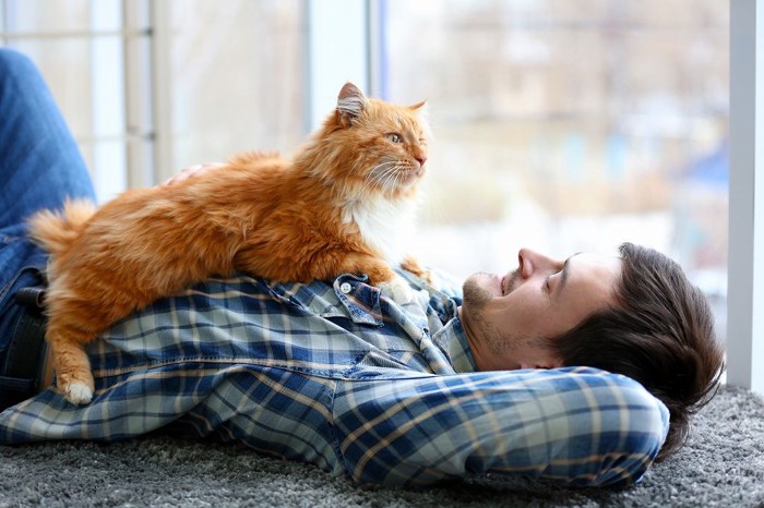 胸の上に猫を乗せてご満悦のお父さん