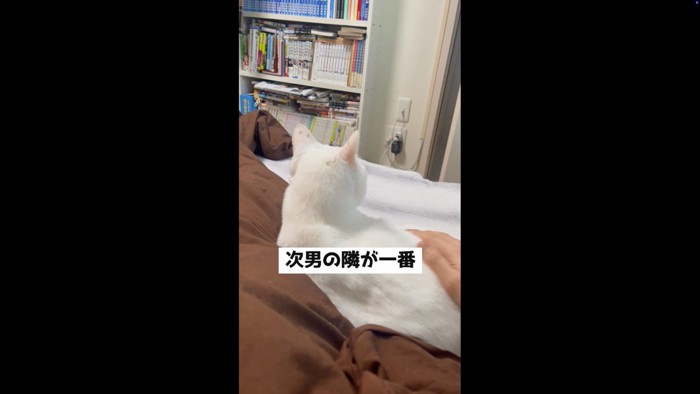 満足そうな後ろ姿