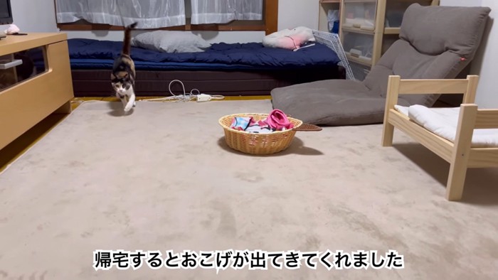 お出迎えをするおこげちゃん