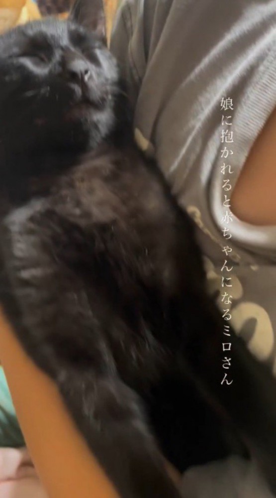 女の子に仰向けに抱っこされている黒猫
