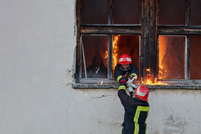 火事で救出される猫