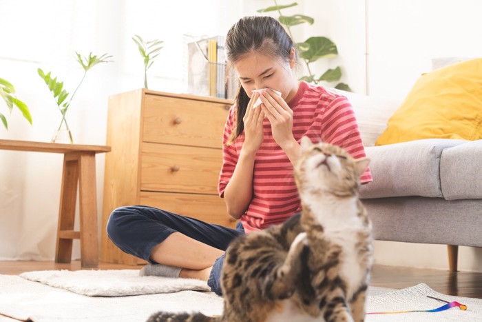 鼻をかむ女性とカキカキする猫