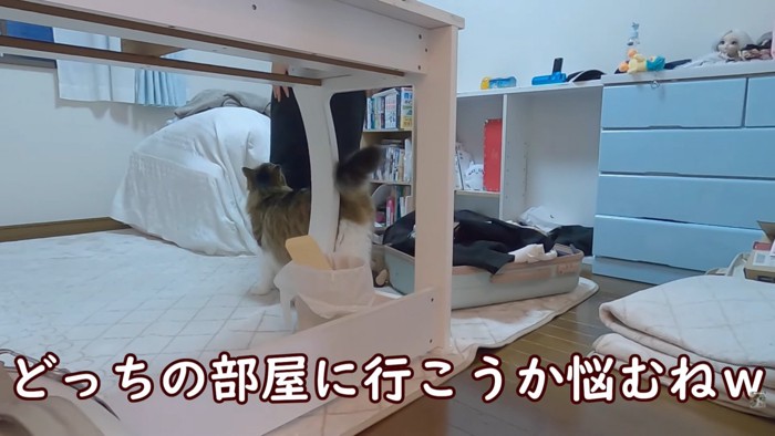 テロップ「どっちの部屋に～」