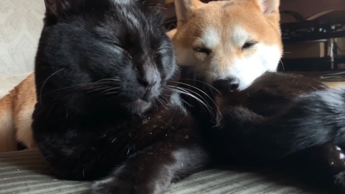 目を瞑るふたり