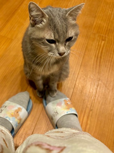 アピールする竜太郎くん