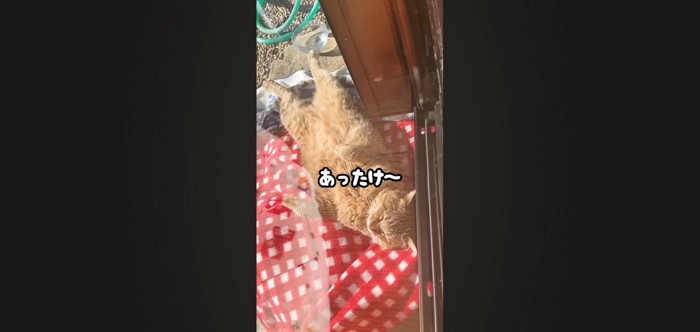 あったけ〜