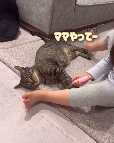 目を閉じて横になる猫