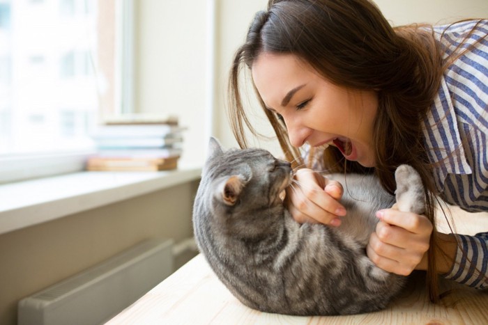 猫に怒る飼い主