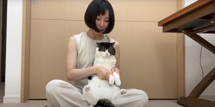 両腕を掴まれた猫と人間