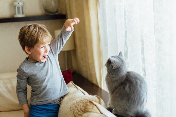 手を上げる子供と猫