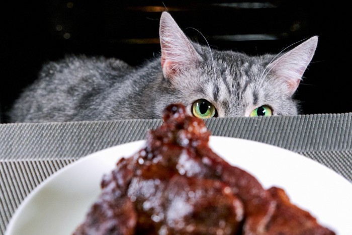 肉の山と猫