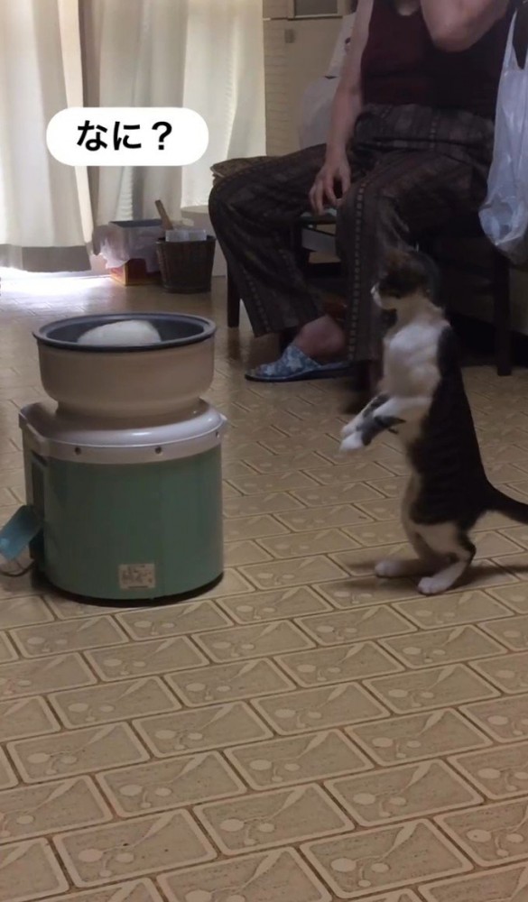 「なに？」と書かれた写真