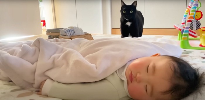赤ちゃんを監視するくまごろうくん