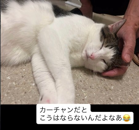 特別
