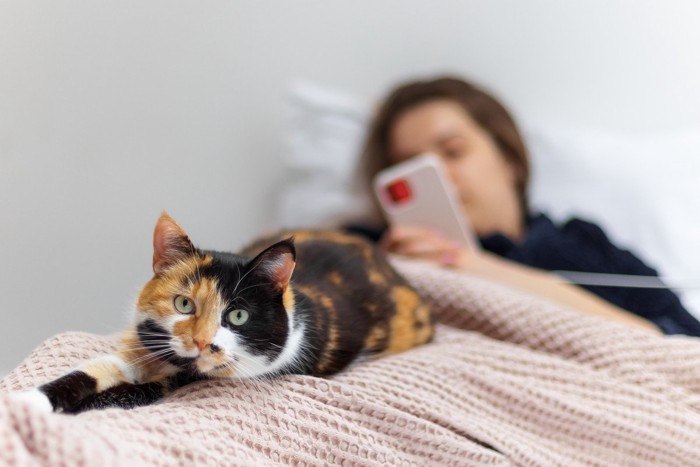 ベッドでスマホをみる飼い主の足もとに寝そべる猫