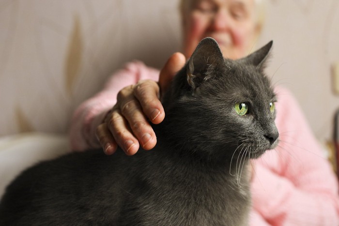 高齢の女性に撫でられる黒猫