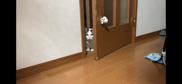 開けてもらう