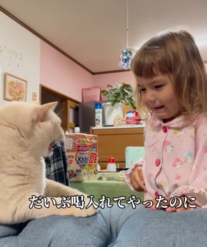 猫パンチを喰らう女の子