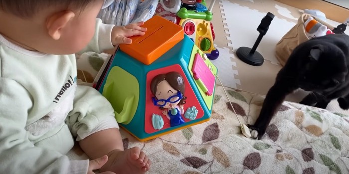 赤ちゃんと一緒に遊ぶくまごろうくん
