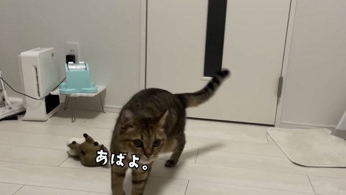 「あばよ。」のテロップ写真