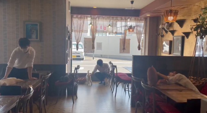 店内の全体像
