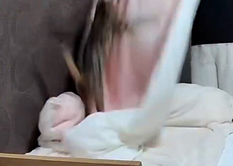 何度も布団に飛びついて遊ぶ猫