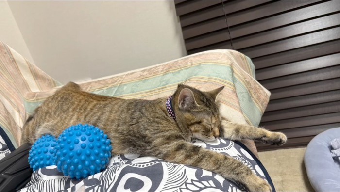 前足を伸ばして寝るキジトラ猫