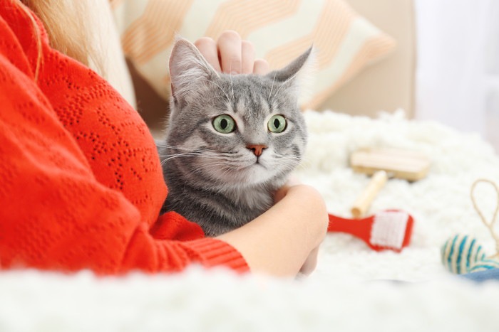 女性に抱かれる猫、背景にブラシ