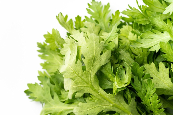 春菊の葉のアップ