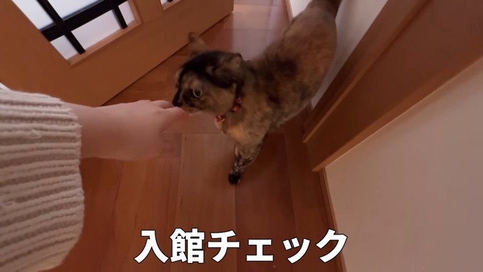 入館チェック