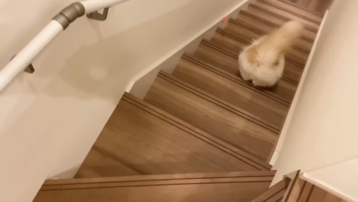 おもちゃと後ろ姿