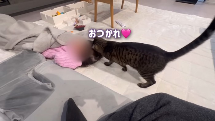 子どもにすりすりする猫