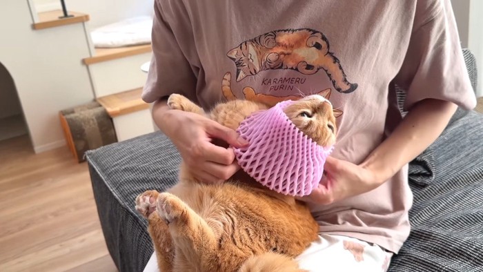 被せ中