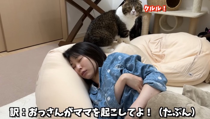 ママを起こしてよ!