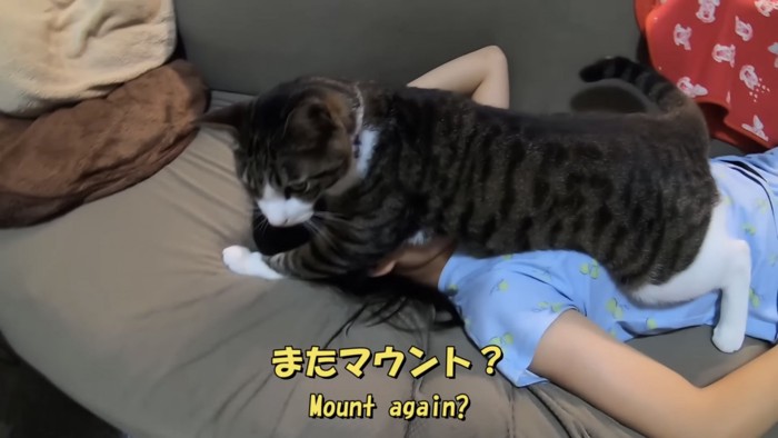 「またマウント？」のテロップ写真