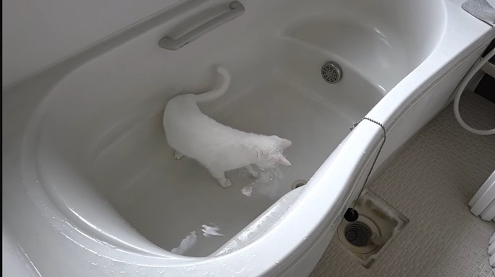 お風呂
