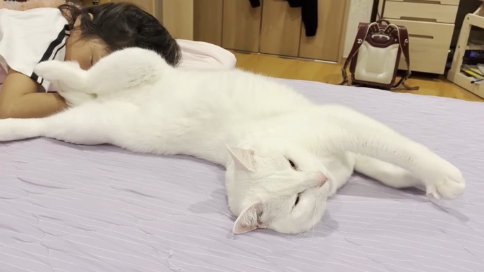 ヘソ天