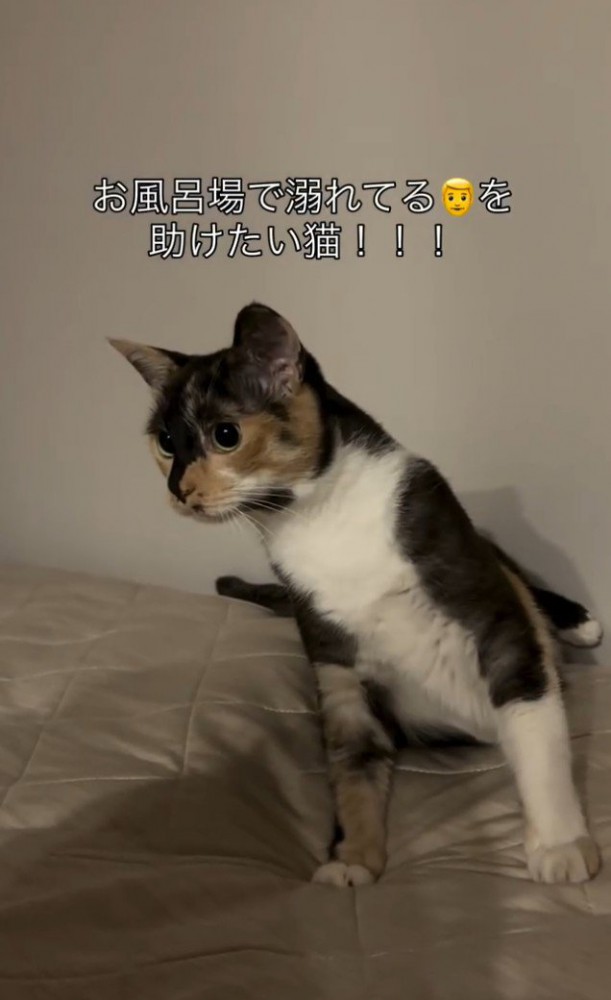 「お風呂で溺れてる…」と書かれた写真2