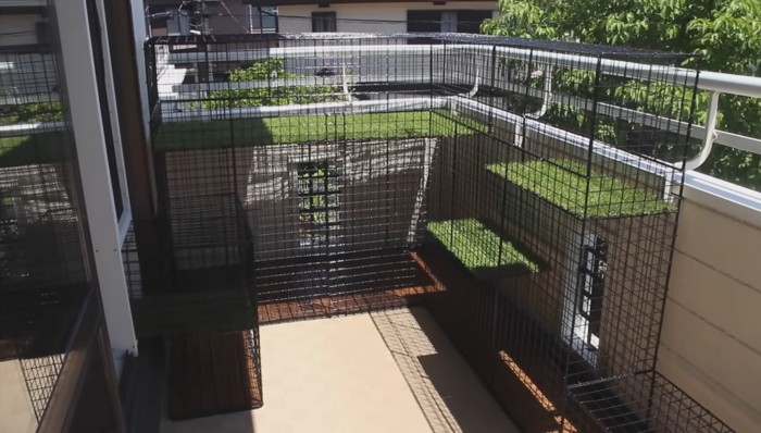CATIO