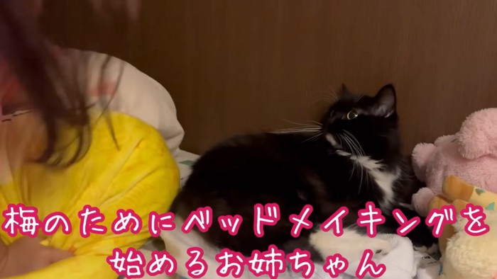 テロップ「梅のために~」