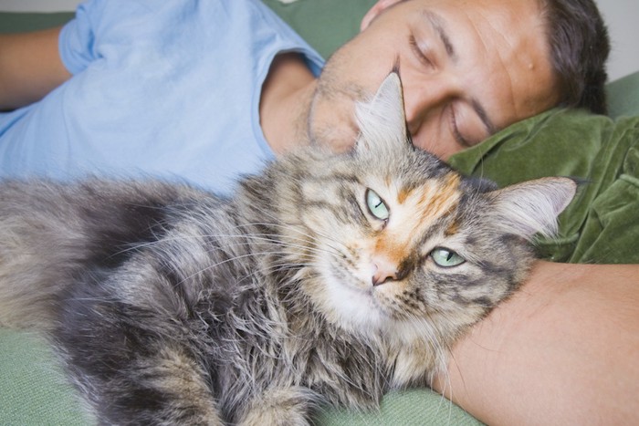 飼い主の腕枕で眠る長毛猫