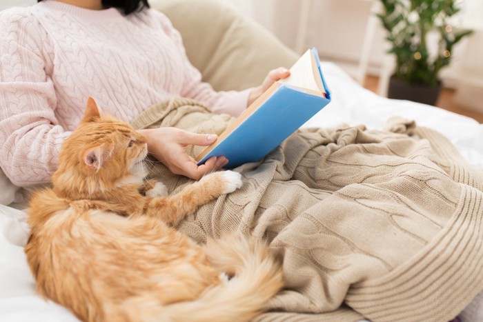 本を読む女性の隣でくつろぐ猫