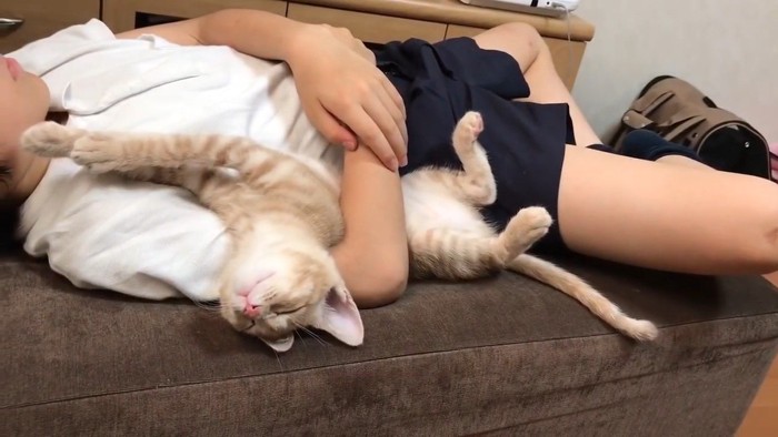 へそ天(目を閉じて)