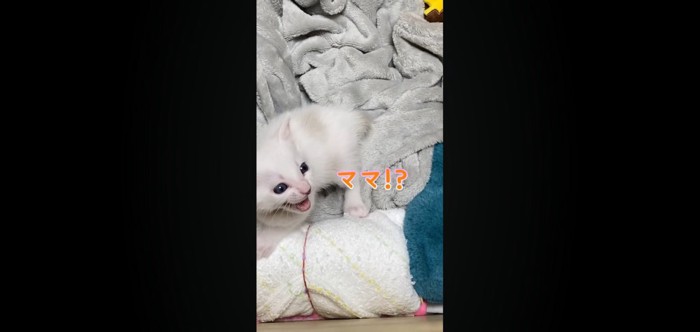 ママ!?