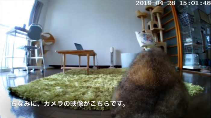 カメラの映像