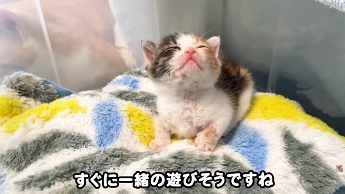 テロップ「すぐに一緒～」